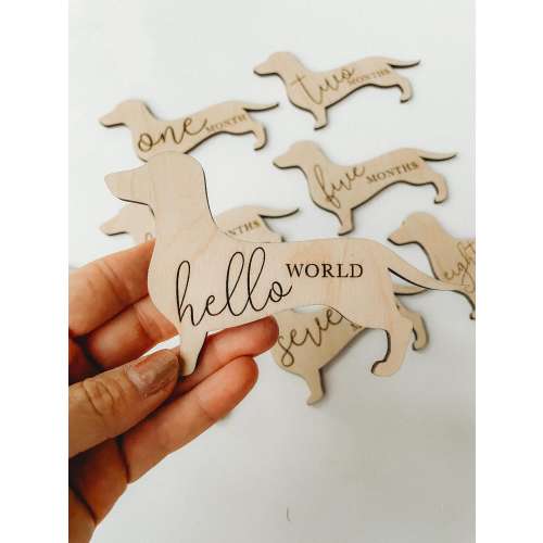 Dog Nursery Dachshund Monthly Milestone Plaques | Baby Shower Gift | Custom Weiner Dog Newborn Baby Gift for Dog Nursery