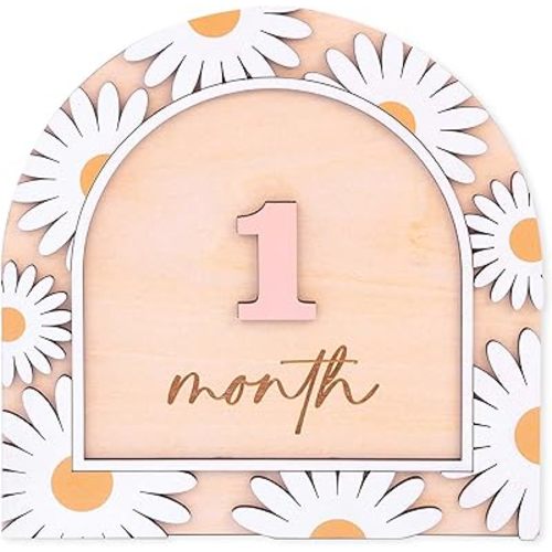 Wooden 3D Baby Monthly Milestone Cards Monthly Milestone Discs Newborn Photography Props Baby Announcement Sign Baby (BBL3)