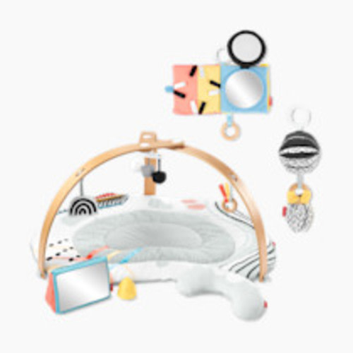 Skip Hop Discoverosity Montessori Gym and Stroller Toys Bundle