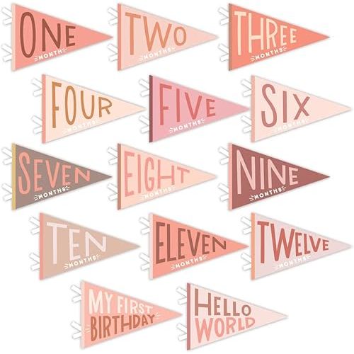 Lucy Darling Petit Milestone Pennants – 12 Felt Baby Monthly Banners for Newborn Photos & Nursery Decor – Unisex Baby Shower Gift (Mountain Fields)