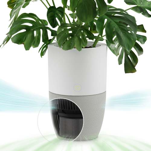 Bloom™ Air Purifier & Planter or Table