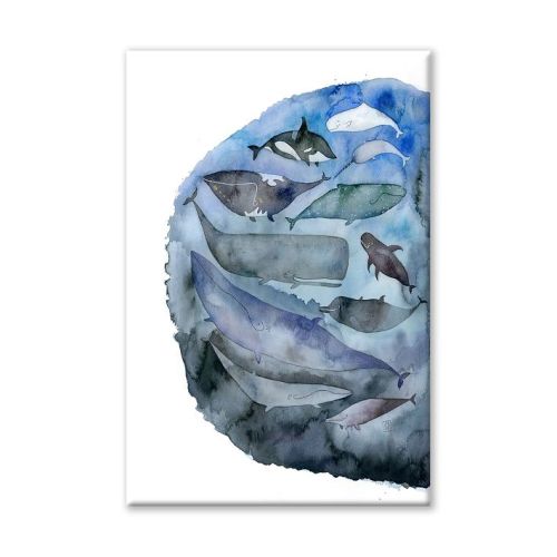 Whale World Canvas Wall Art by Jess Engle