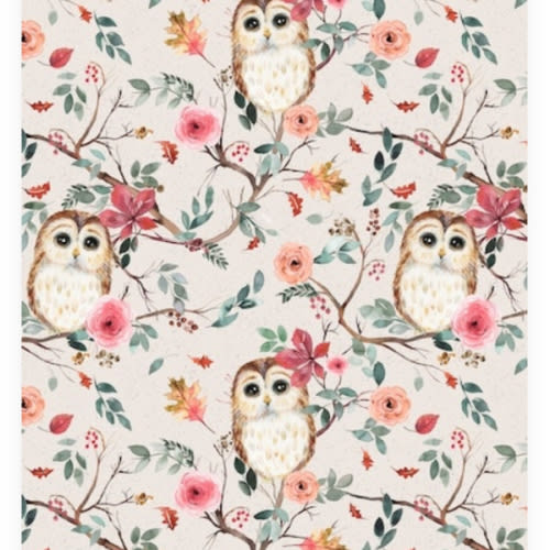 Cute Owls Nature Trees Wallpaper - Happywall 124 by 100