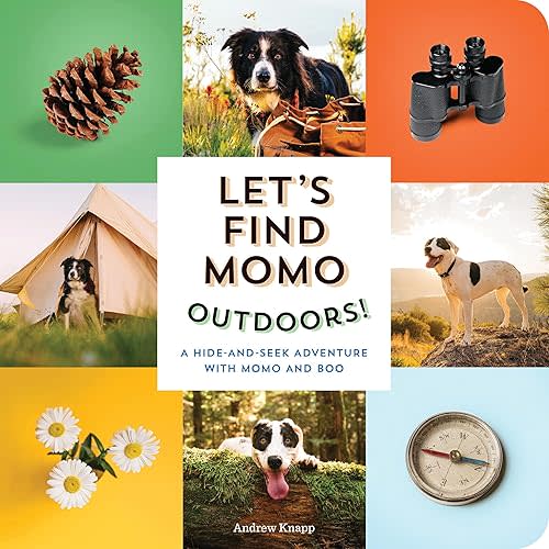 Let's Find Momo Outdoors!: A Hide-and-Seek Adventure with Momo and Boo Board book – May 25, 2021