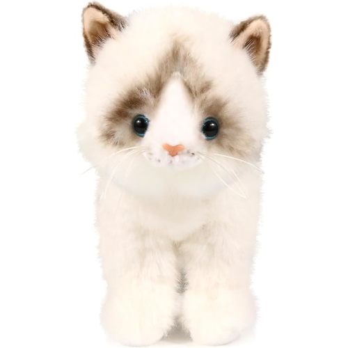 Ice King Bear Little Ragdoll Cat Stuffed Animal Kitten Plush Toy (Standing)