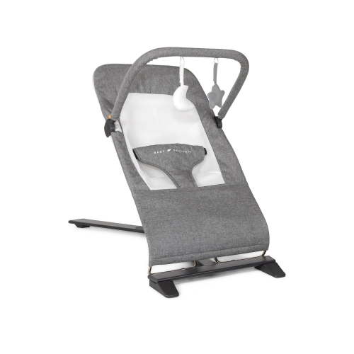 Baby Delight Alpine Deluxe Portable  Bouncer, Charcoal Tweed