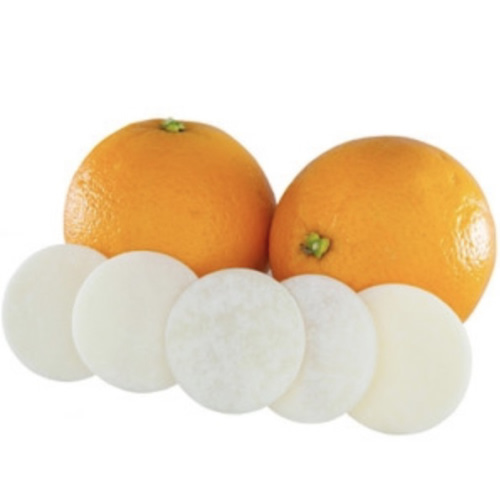 Citrus Diaper Pail Deodorizer Disks (10 pack)