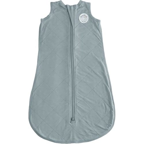DREAMLAND BABY Viscose Sleep Sack (0-6 Months). Ultra Soft Blanket w/ 2-Way Zipper. 97% Viscose, 3% Spandex (Slate)