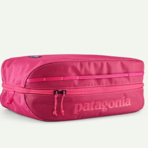 Patagonia Black Hole® Packing Cube 14L