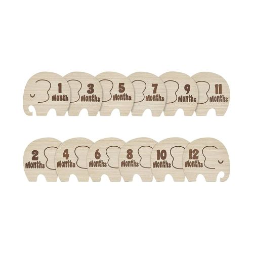 Kate & Milo Wooden Milestone Props, Baby Monthly Photo Discs, Newborn Keepsake Photos, New and Expecting Parents Gift, Elephant