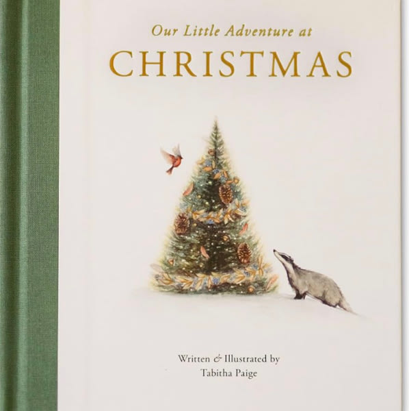 Our Little Adventure at Christmas: Featuring Foundational Language Concepts and Lessons on the Joy of Giving (Tabitha Paige Children's Book Series)