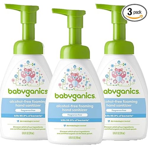 Babyganics Foaming Pump Hand Sanitizer, Alcohol Free, Fragrance Free, Kills 99.9% of Common Bacteria, Moisturizing, 8.45 Fl Oz (Pack of 3) - 8.45 Ounce (Pack of 3)