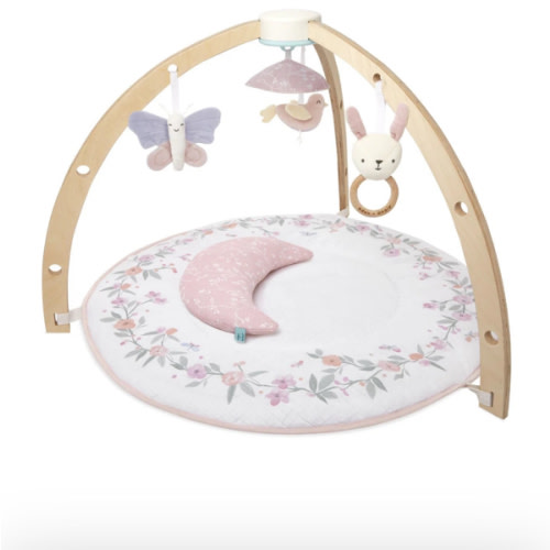 Baby Gym | Premium Baby Activity Gym | aden + anais