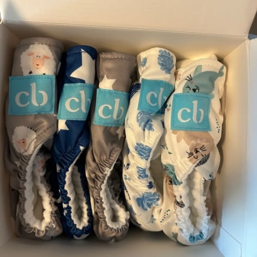 Charlie Banana Cloth Diapers