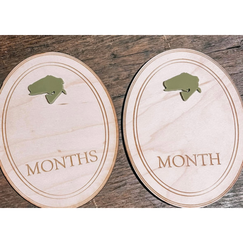 Fish Monthly Milestone Markers, Boy Monthly Photo Sign, Fishing Milestone Discs, Baby Shower Gift, Baby Photo Props, Bass monthly Photos