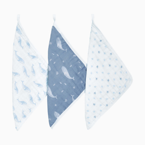 Aden + Anais Organic Washcloth (3 Pack) - Oceanic