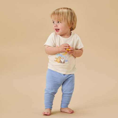 6-9 M Party Animals Tee & Ribbed Leggings Outfit Birthday Print