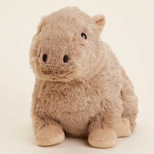 Capybara Warmies