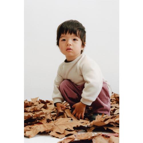 SWEATSHIRT AND JOGGER SET WITH BRUSHED INTERIOR - Light beige | ZARA United States