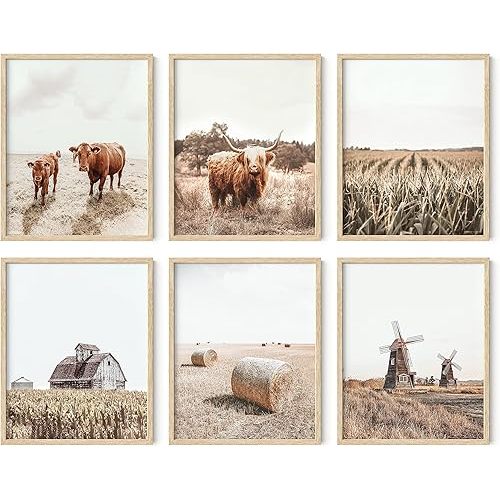 HAUS AND HUES Highland Cow Art and Farmhouse Wall Decor Cow Wall Art and Farmhouse Prints Unframed, Cow Painting, Cow Prints Wall Art, Farm Pictures Wall Decor, Cow Wall Décor