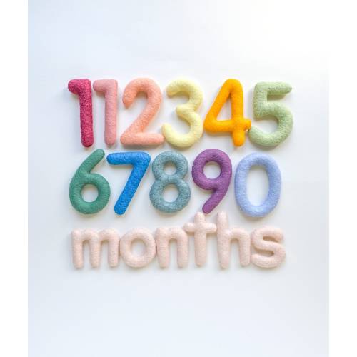 Felt Baby Monthly Milestone Numbers/Stuffed Numbers for Baby Month Tracker/ Custom Colors