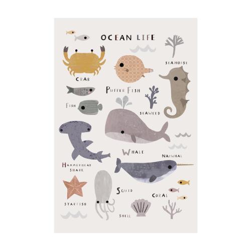 Ocean Life Poster