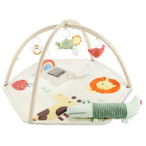 Geometric Wonders Activity Gym
