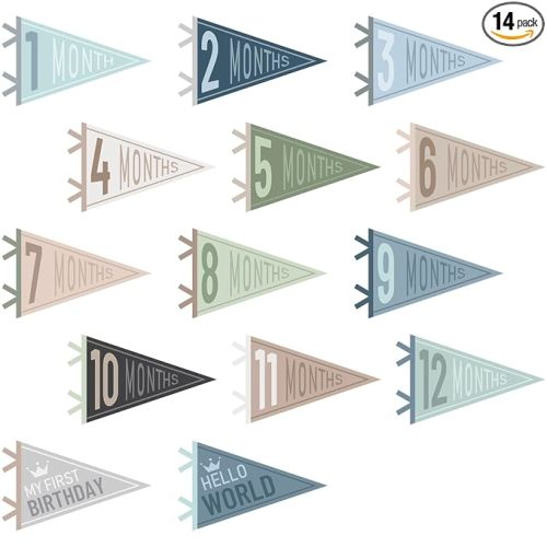 14 Pcs Baby Milestone Pennant Signs Monthly Milestone Banner Flags Pennant Triangle Banner Age Flag Signs for Boy Girl Newborn Birthday Party Decor(Ocean Color)