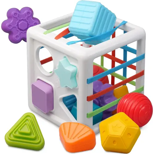 LiKee Montessori Toys for 1+ Year Old, Shape Sorter Baby Toys for Boys Girl Birthday Gift, Colorful One Year Infant Toddler Toy, 10pcs Sensory Blocks Learning &Fine Motor Skills 18+ Months