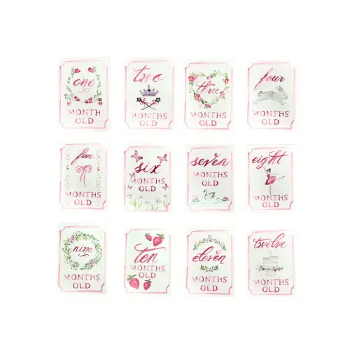 Monthly Milestone Card Set - Pink | Danrie