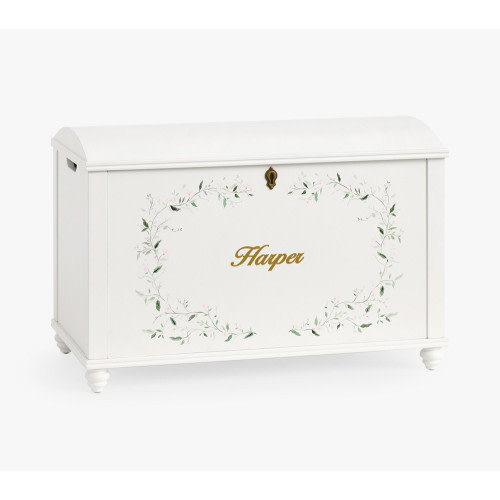 Painted Toy Chest (31")
