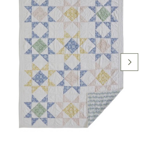 Birch Lane™ Adda Cream/Dusty Blue/Green Cotton Reversible Quilt | Birch Lane