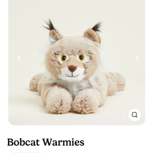 Microwavable Bobcat Warmies | Warmies USA
