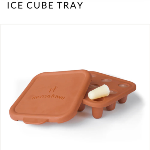 Ice Cube Tray