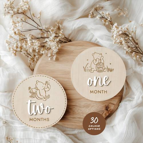 Winnie the Pooh Milestone Baby Classic Winnie the Pooh Nursery Monthly Milestone Frame Winnie the Pooh baby shower Neutral Milestone Cards
