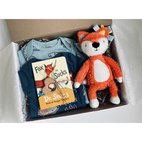 Baby Shower Boy Gift Box Basket Fox With Personalized Card, Welcome Baby, Newborn Coming Home, Baby Present- Onesies, Fox Toy, Dr Seuss Book - Etsy