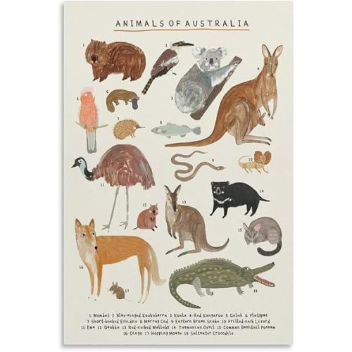 Animals of Australia Poster Kangaroo Koala Nursery Poster for Kids Knowledge Canvas Wall Art Aesthetic Decorative Painting Living Room Restaurants, Pool Halls And Classroomstyle 12x18inch(30x45cm)