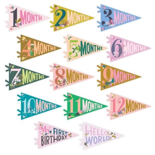 Lucy Darling Petit Milestone Pennants, 12 Felt Baby Monthly Milestone Banners for Baby Girl & Boy, Newborn Photography Props & Decor, Felt Pennant Flags, Perfect Baby Shower Gifts (Little Artist)