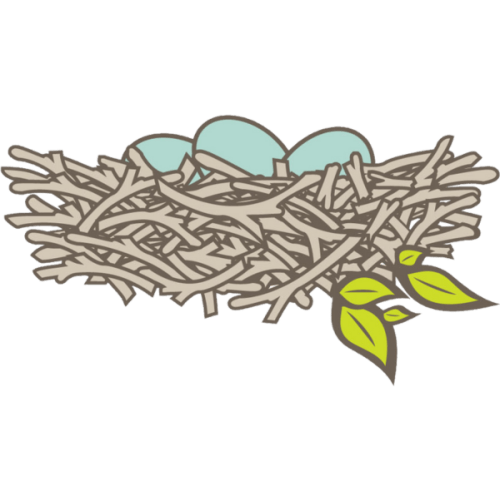 The Nesting House Store Credit