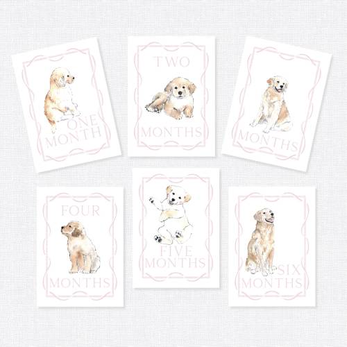 Golden Retriever Milestone Cards, First Year Cards, Monthly Milestone, Golden Retriever Girl Month Cards
