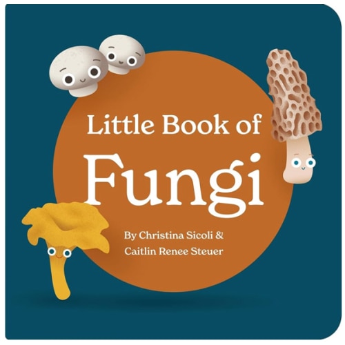 Little Book of Fungi Board Book for Babies and Toddlers Exploring Mushroom Facts and Clever Rhymes Classroom Learning Resource Baby 0-12 Months Ages 1-4 by Chunky Deli