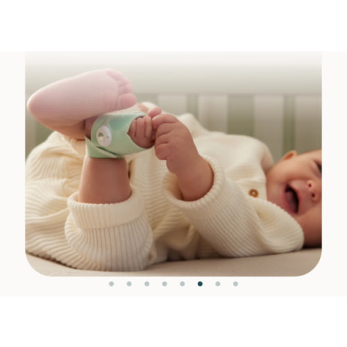 Owlet® Dream Sock