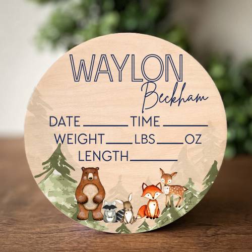 Baby Name Birth Announcement Baby Boy Gift Sign Woodland Decor Birth Stat Sign Baby Nursery Decor Boy Name Sign Animal Theme Nursery Gift