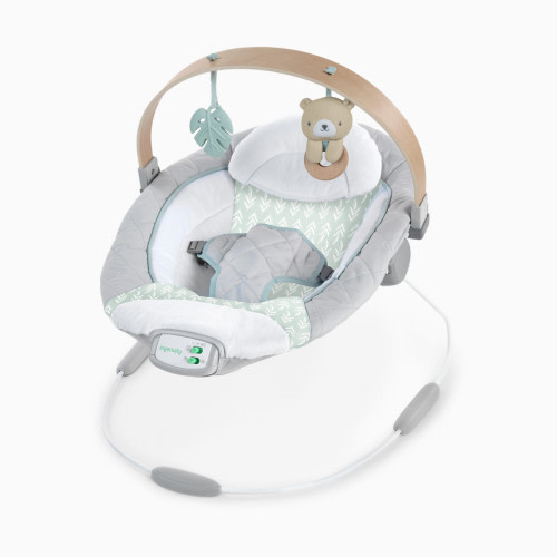 Ingenuity Cozy Spot Soothing Baby Bouncer