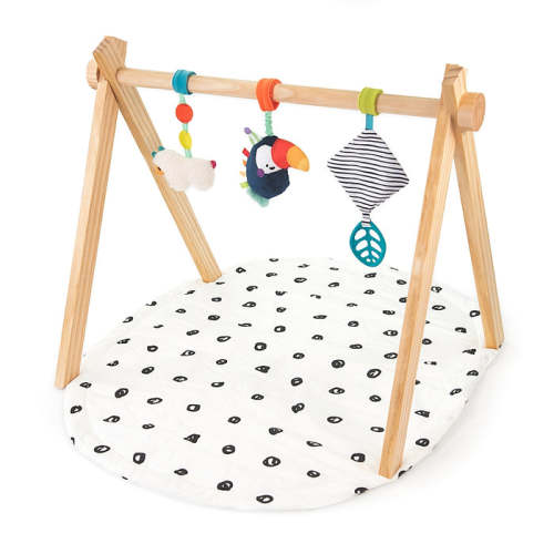 Sassy Eco-Sproutin Safari Gym — buybuy BABY