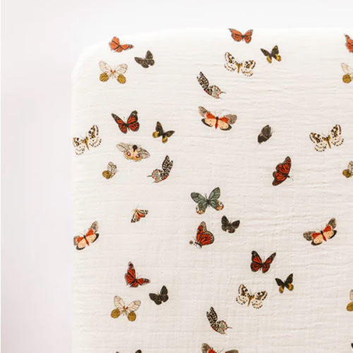 Butterfly Essential Bundle
