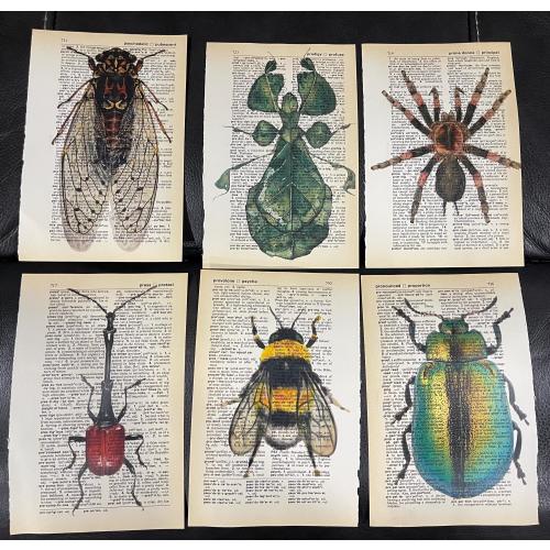 Bug/Insect themed dictionary prints