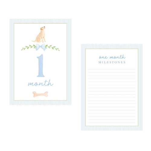 Dog Baby Milestone Cards | Yellow Lab Baby Monthly Milestone Cards | Labrador Baby Milestone Cards | Baby Milestone Cards for Boys