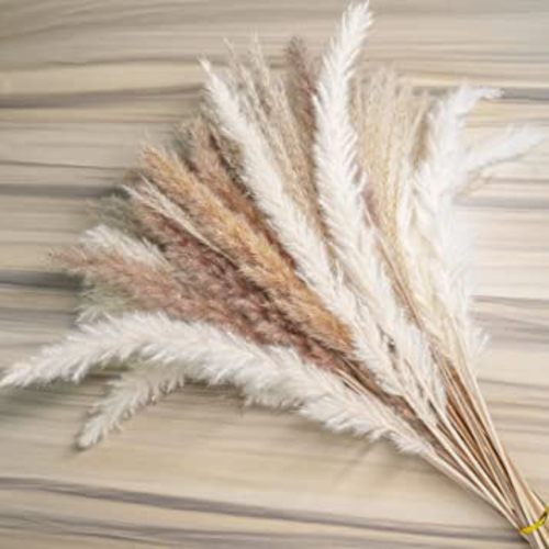 60pcs Natural Dried Pampas Grass,20 Pcs White Pampas & 20 Pcs Brown Pampas & 20 Pcs Reed Grass Boho Decor Wedding Decorations Flower Arrangements Home Decor