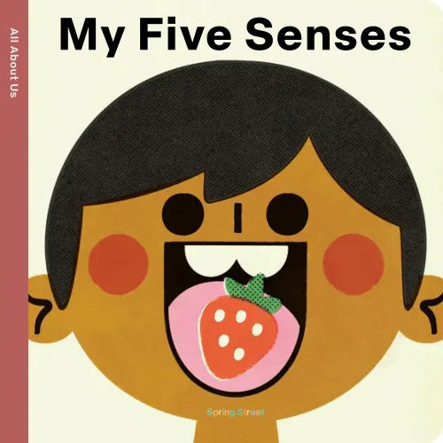 Spring Street All about Us: My Five Senses a book by and Pintachan - Bookshop.org US
